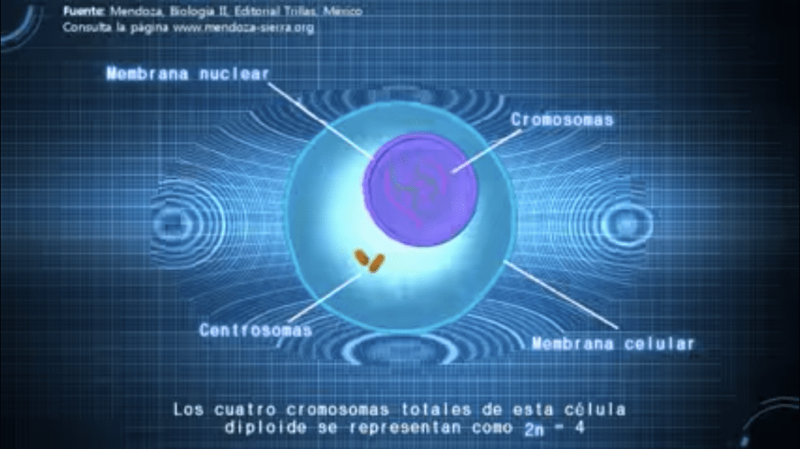 Captura de pantalla 2016-11-29 a las 5.33.29 p.m..png