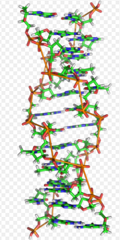 captura-de-pantalla-2016-12-12-a-las-10-36-41-a-m